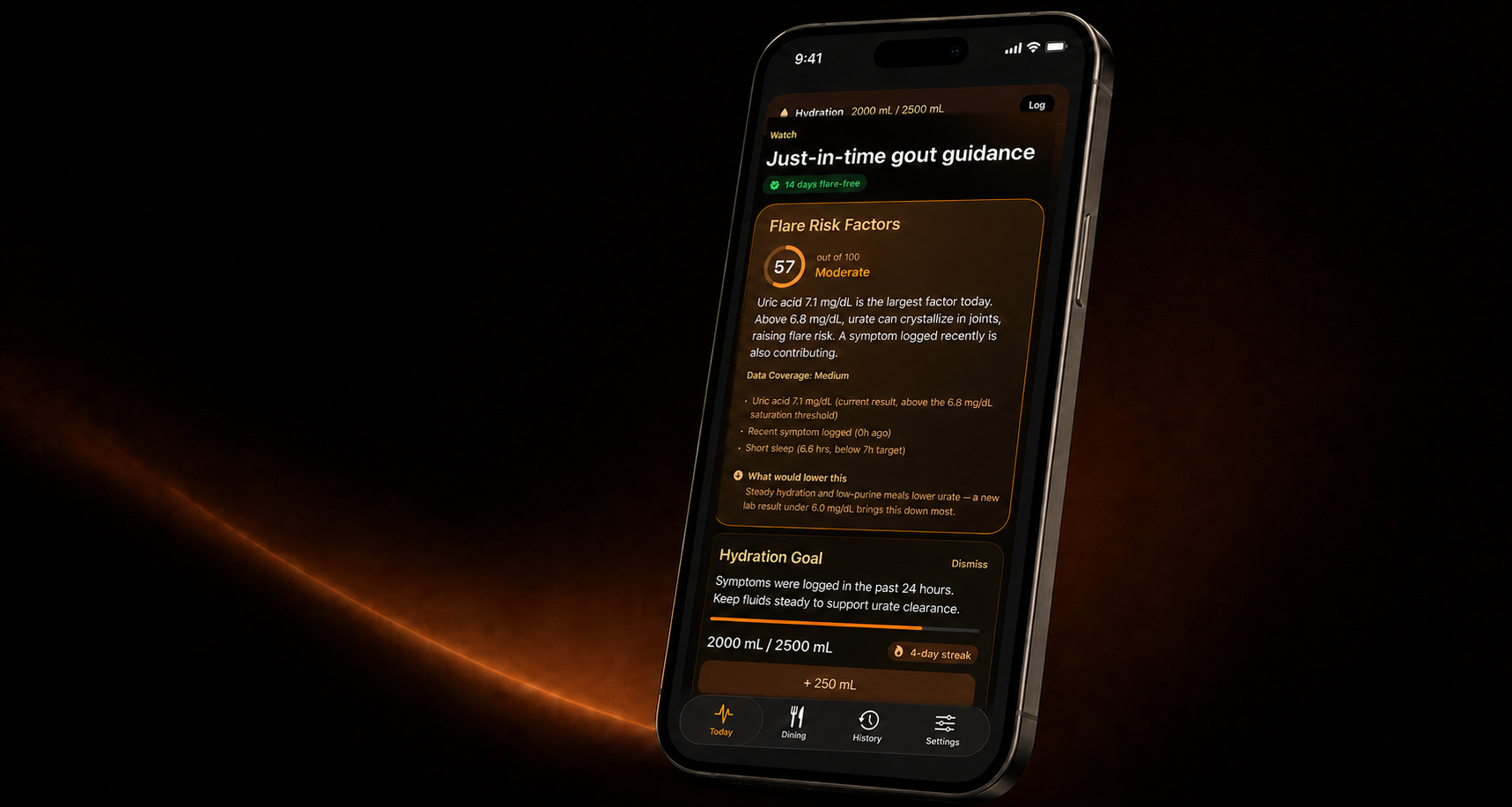 Gout Compass dashboard shown on an iPhone
